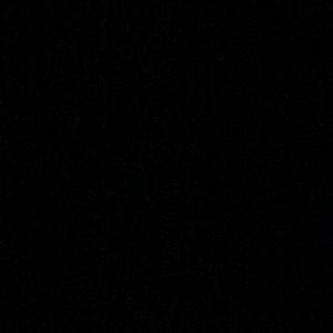 Meet your Posher, Josie